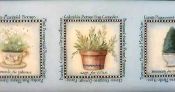 LYNNE ANDREWS HERBED TRIO PATTERN PACKET